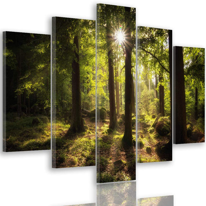 Feeby Bild auf Leinwand Landschaft 5 Teilig Modern Wald Bäume Sonne grün 200x100 cm Leinwandbild 200
