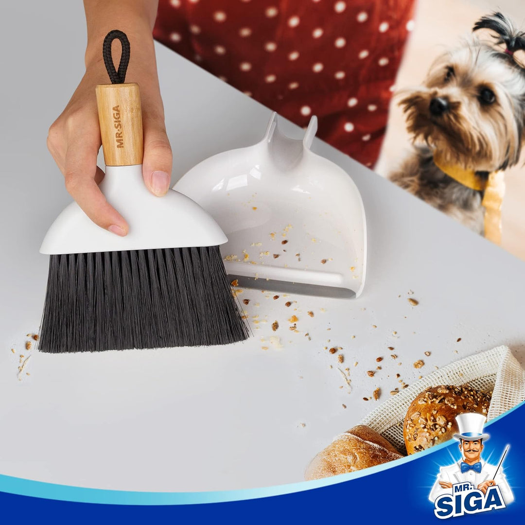 MR.SIGA Mini Kehrschaufel und Bürste Set, Tragbare Reiniqungsbürste und Kehrschaufel Combo mit Bambu