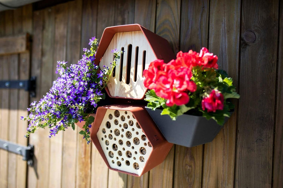 Capi Europe - Pflanzgefäss Hive - 19x23x20 - Grün - CAPI Biodiversity Hive - AHPLG001 Grün Hive - Pf