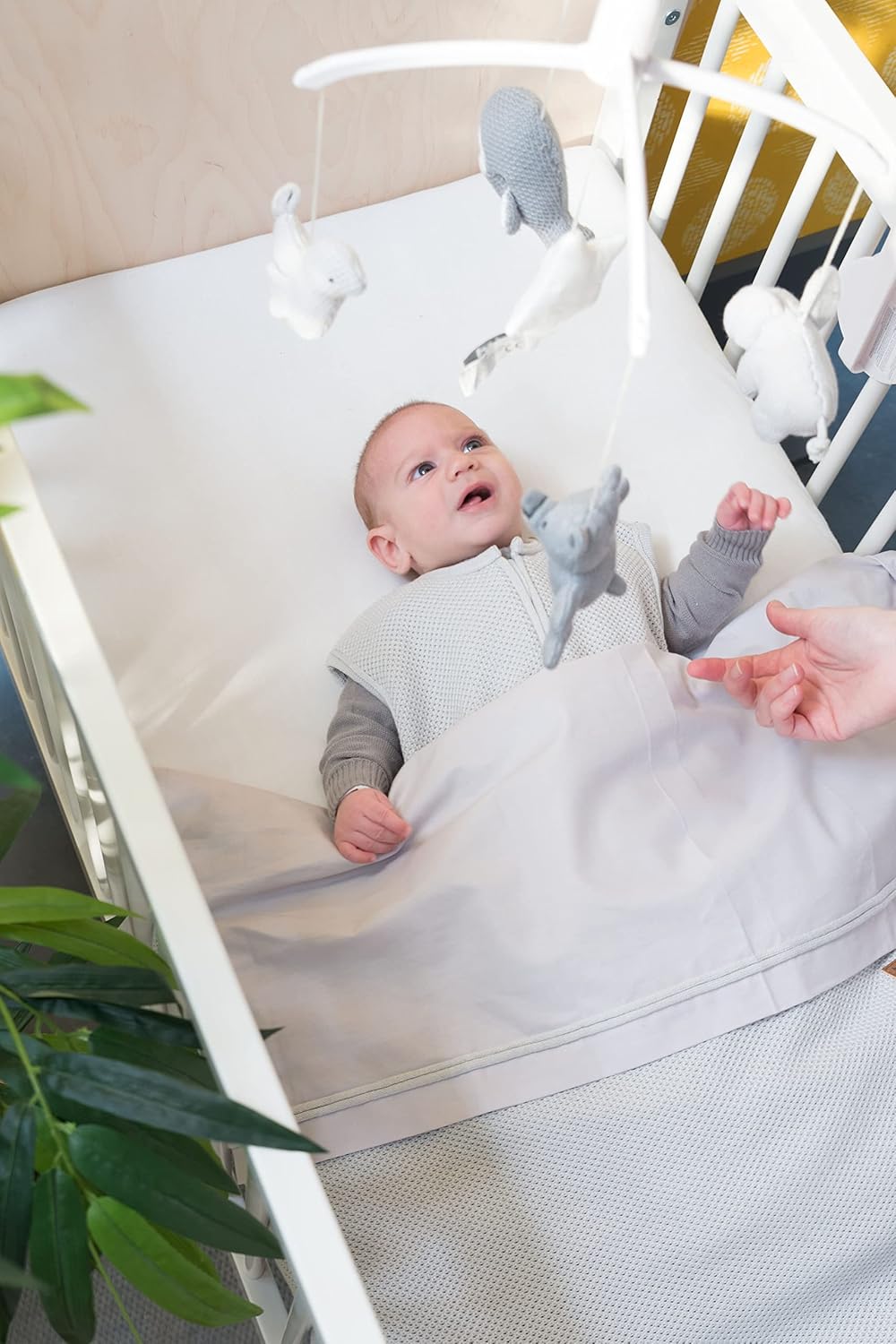 Baby's Only - Baby Schlafsack aus Baumwolle - 1.3 TOG - Strampelsack für Jungen und Mädchen - von 0