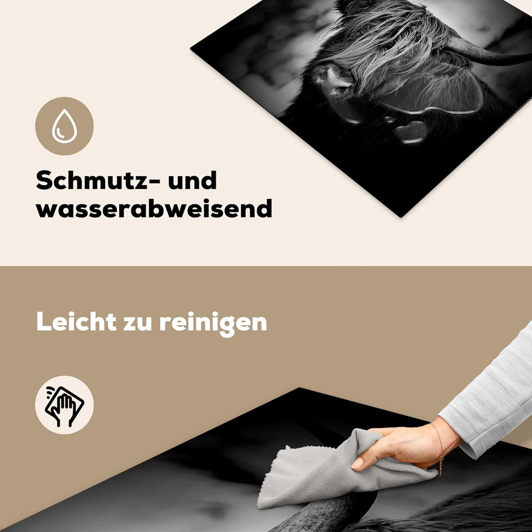 MuchoWow Herdabdeckplatte Ceranfeld Spritzschutz Küche Schottischer Hochländer - Licht - Porträt - N