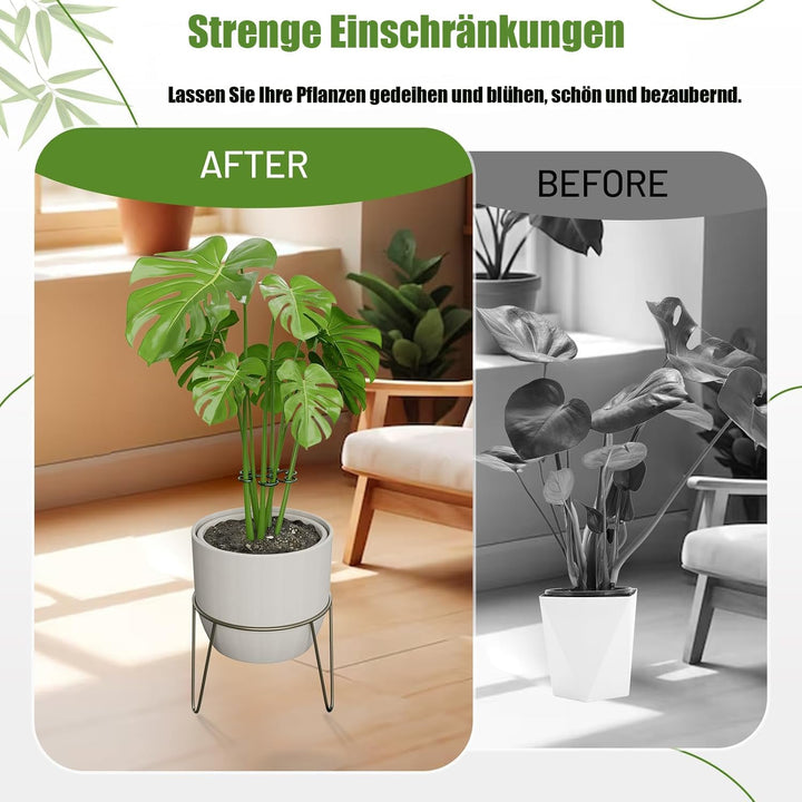 4X Pflanzenstütze,pflanzenhalter für Blumen, Rosen, Tomaten - Monstera Rankhilfe und Pflanzenhalter
