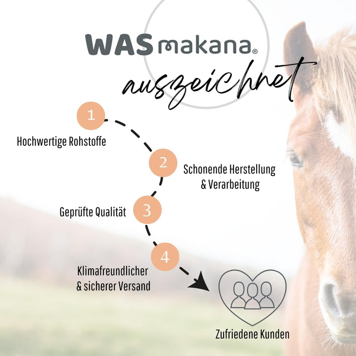 Makana Leinöl für Tiere, kaltgepresst und 100% rein, 5000 ml Kanister Single, Single