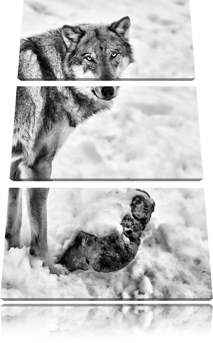 Pixxprint prächtiger Wolf im Schnee als Leinwandbild/Grösse: 3 Teilig (120x80) cm/Wandbild/Kunstdruc