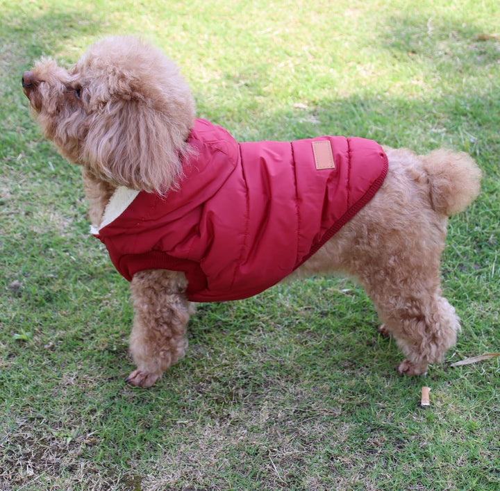 Warmes Fleece Hund Hoodie im Winter, kleine Hundejacke Hundemäntel mit Kapuze (Rot M) Medium (Pack o