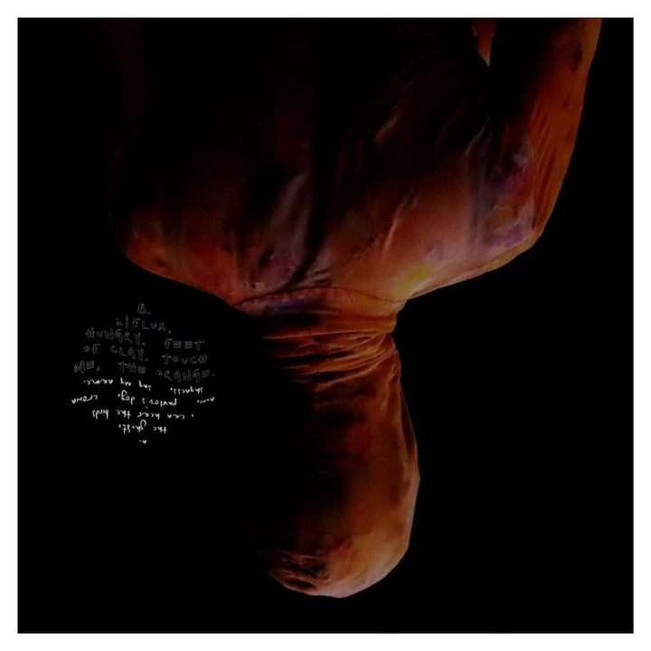 In|Flux (Transparent Orange), Vinyl