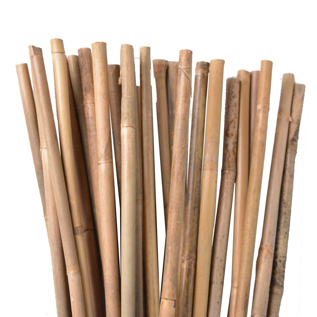 UNUS Bambusstäbe, Pflanzenstäbe zur Stabilisierung von Pflanzen im Garten, Rankstäbe Bambus 120 cm n