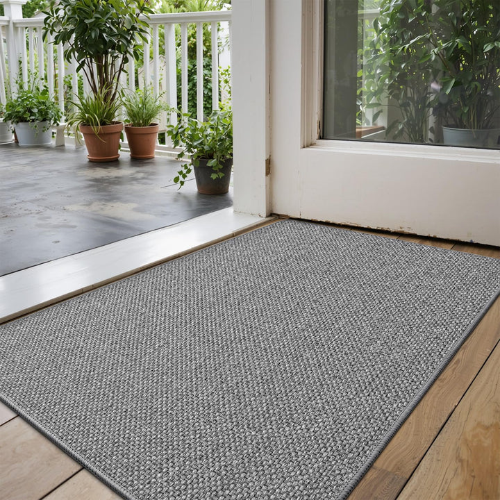 DEXI Fussmatte Innen 44 x 75cm, rutschfest Schmutzfangmatte, waschbar Fussmatte, Dünne Eingangstürma