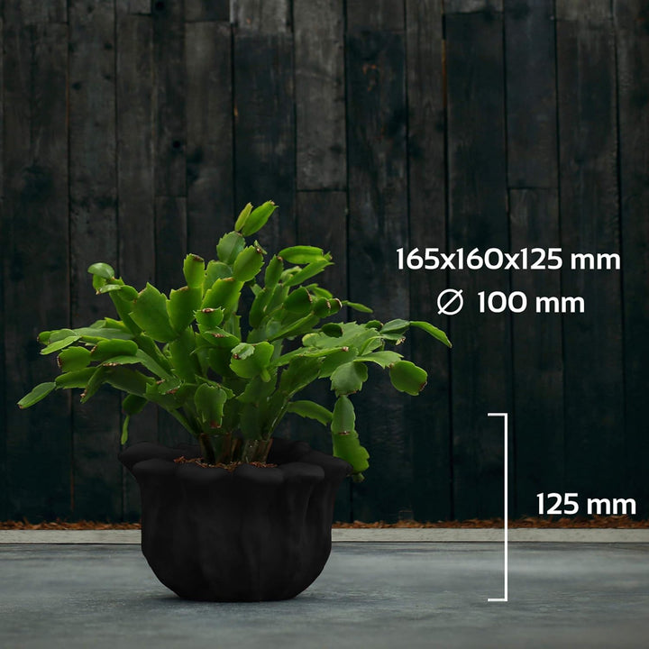 CONCRETTE Blumentopf Blumenkübel Zement-Pflanzkübel Übertopf aus Beton Flower Ø 10 cm | 17 Farben 16