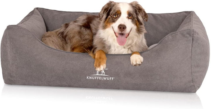 Knuffelwuff orthopädisches Hundebett Baltimore M-L 80 x 55cm Grau - Hundekissen für grosse, mittelgr