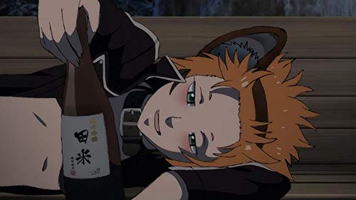 Juni Taisen - Gesamtedition: Episode 01-12 [3 DVDs], DVD