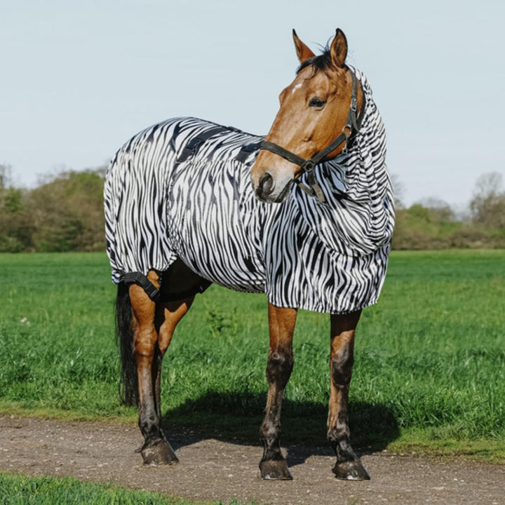 Riding World - Ekzemerdecke Zebra | Fliegendecke mit abschwitzender Wirkung | Pferdedecke mit Bauchl
