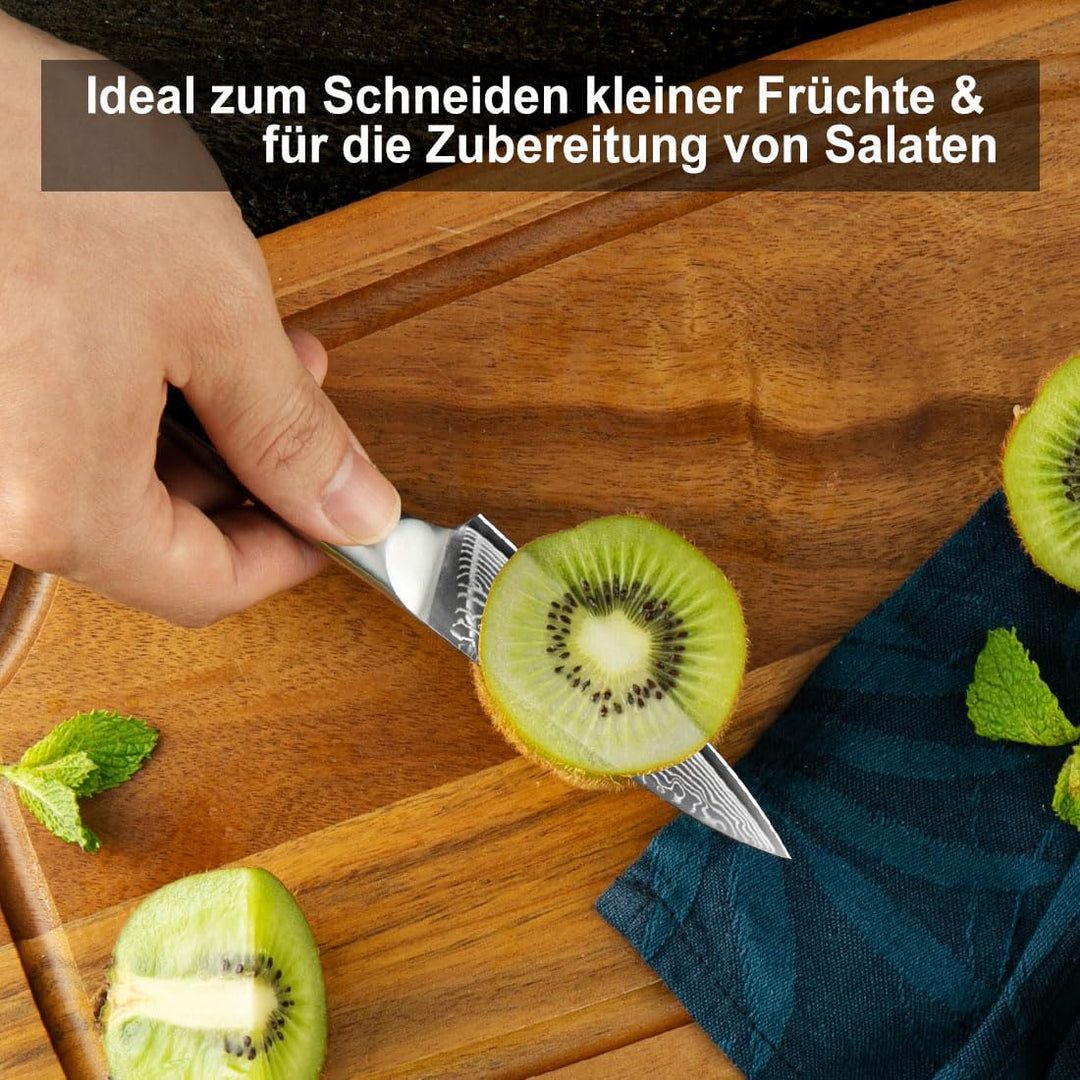 Sunnecko Obstmesser Gemüsemesser Spickmesser 3,5 Zoll, mit 67-Schichten Damaststahl VG-10 Klinge Kle