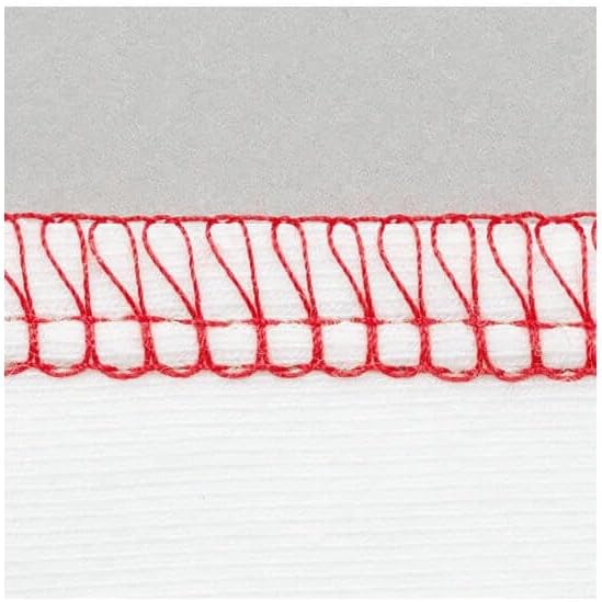 Bernina L 450