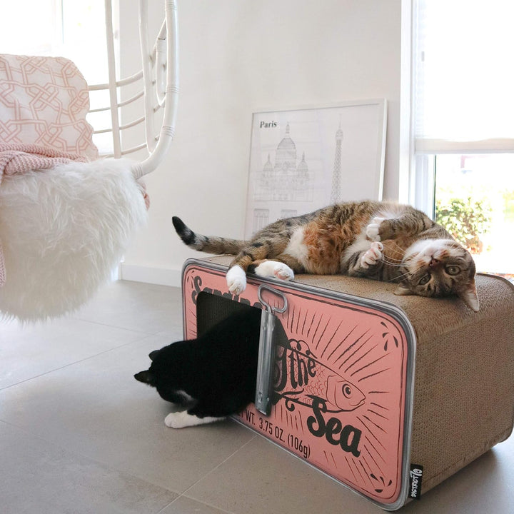 District 70 - Sardine - Pink SARDINE Pink, SARDINE Pink
