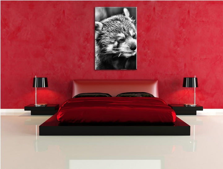 Pixxprint Monocrome, Kleiner Panda SAGT Hallo, Format: 100x70 auf Leinwand, riesige Bilder fertig ge