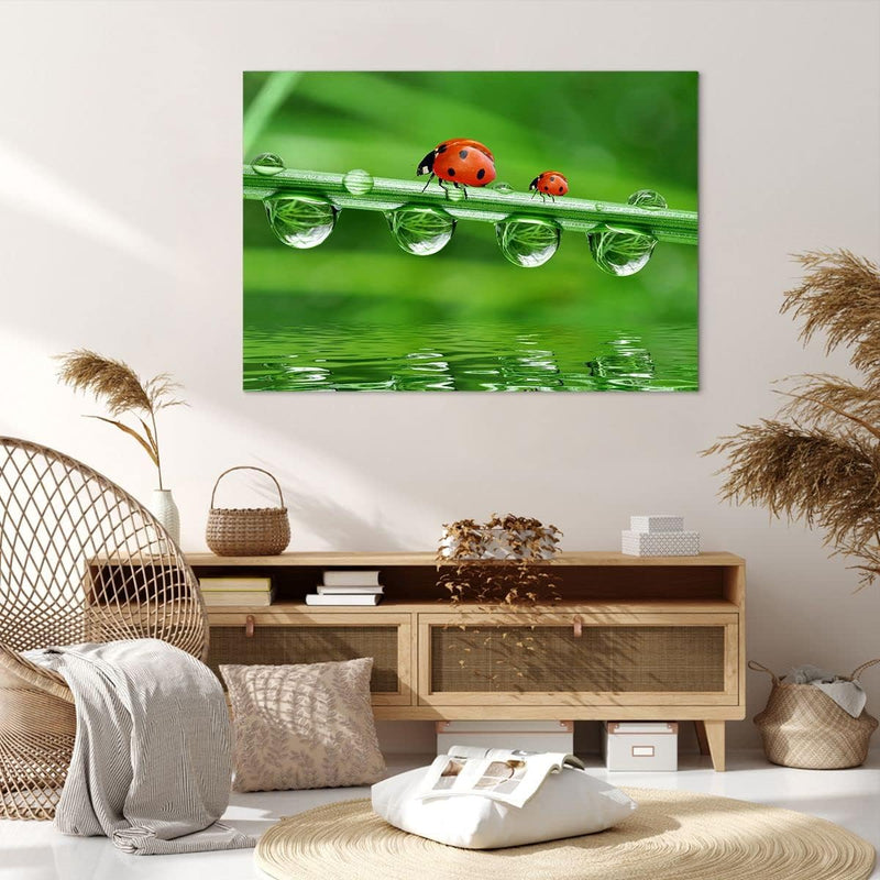 Bilder auf Leinwand 100x70cm Leinwandbild Marienkäfer Wasser Grün Umwelt Gross Wanddeko Bild Schlafz