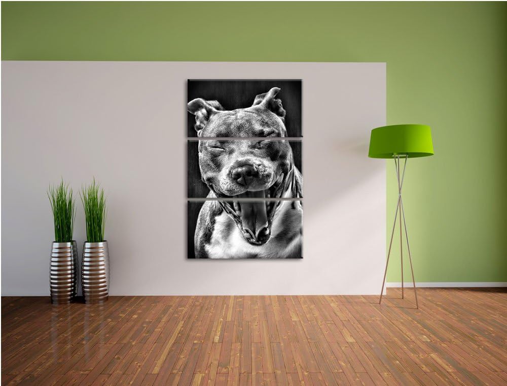 Pixxprint Lachender Pitbull als Leinwandbild | Grösse: 3 Teilig (120x80) | Wandbild| Kunstdruck | fe