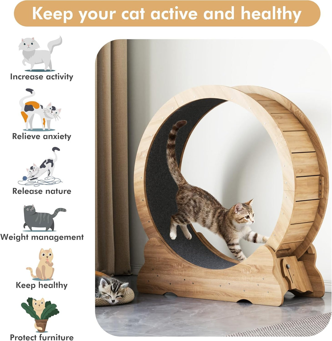 Mondeer Katzenlaufrad, 90cm Laufband mit Abnehmbaren Teppichboden für Indoor Katzen, für Kleines Mit