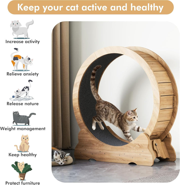 Mondeer Katzenlaufrad, 90cm Laufband mit Abnehmbaren Teppichboden für Indoor Katzen, für Kleines Mit