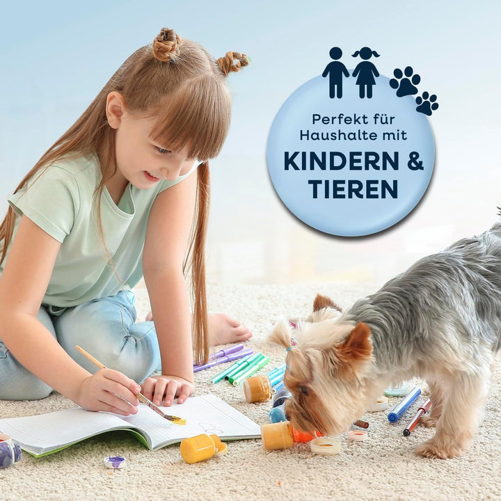 CLEANmaxx Teppichreiniger & Polsterreiniger Pro Power | Spot Cleaner & EASYmaxx Teppichreiniger Mitt