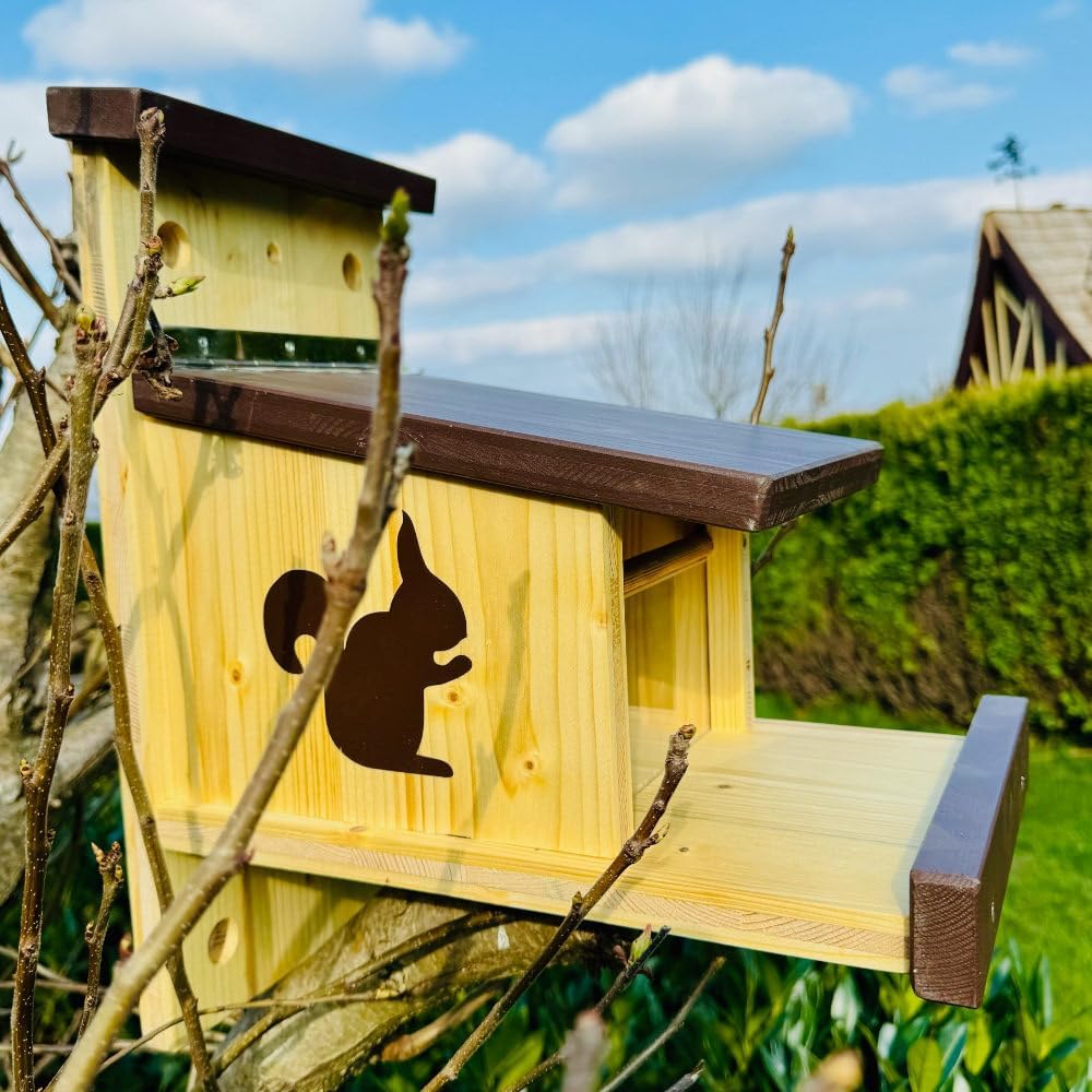 DARLUX Stabiles Eichhörnchen Futterstation I Wetterfest I verschraubtes Massivholz I Futterhaus Mass