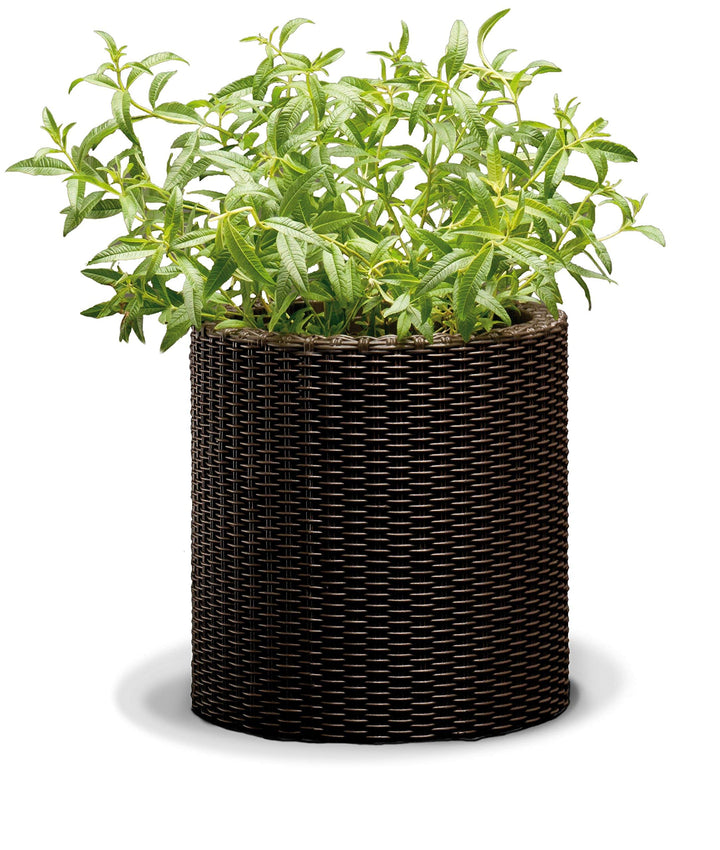 CURVER Garten Pflanzentopf 18 l Garten, 18 l Garten