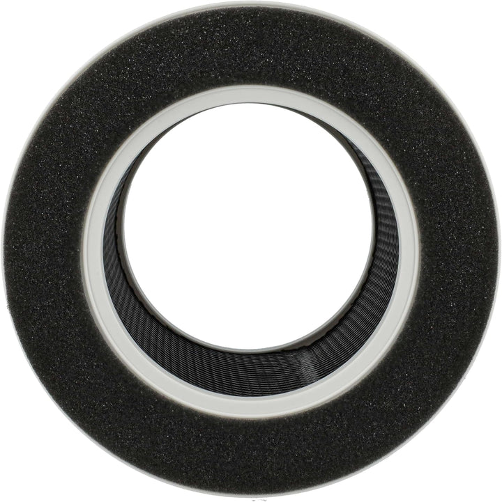 vhbw Luftilter kompatibel mit Medion Life E350 Luftreiniger - Kombifilter Vorfilter + HEPA + Aktivko