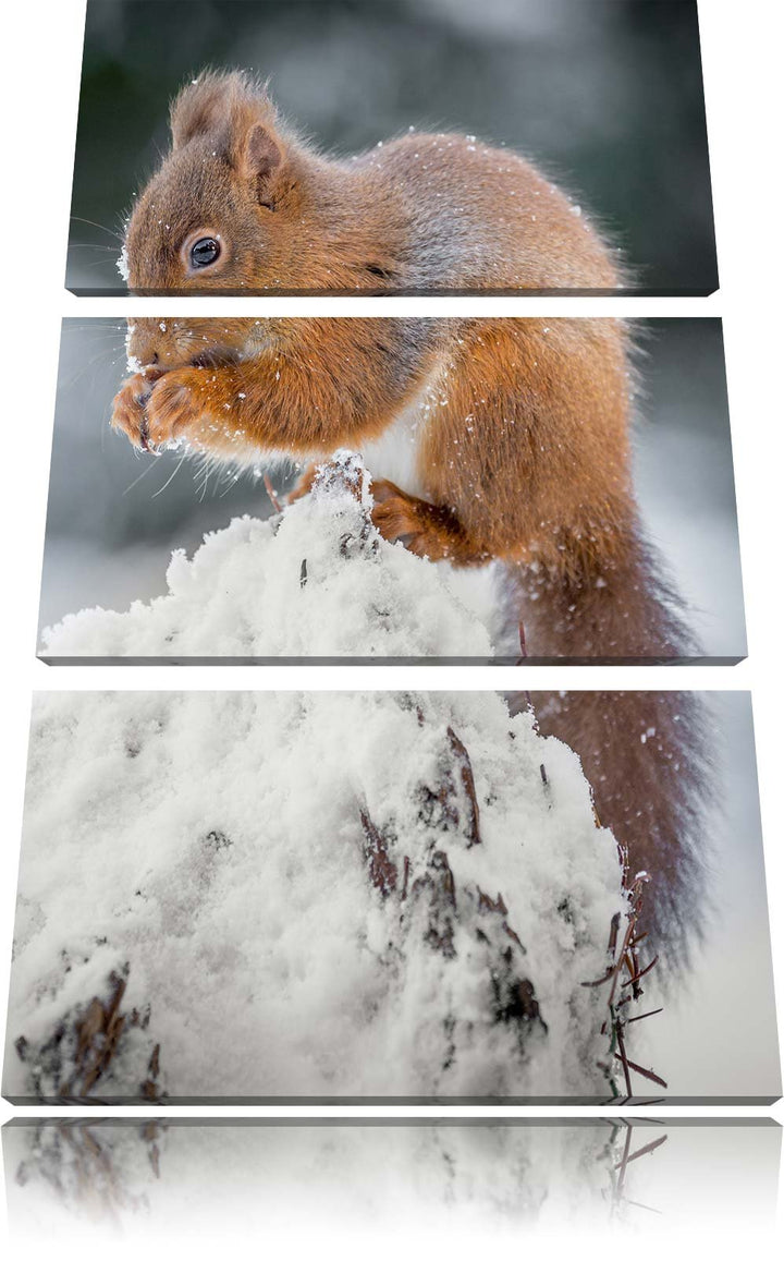 Pixxprint Kleines Eichhörnchen im Winter 3-Teiler Leinwandbild 120x80 Bild auf Leinwand