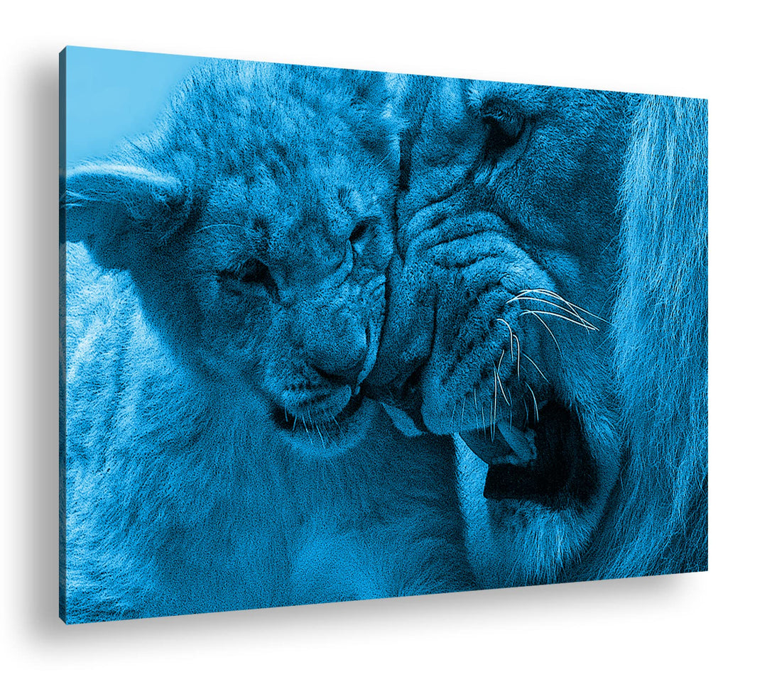 deyoli wilde Löwen Format 80x60 Effekt: Monocrome Blau als Leinwandbild, Motiv fertig gerahmt auf Ec
