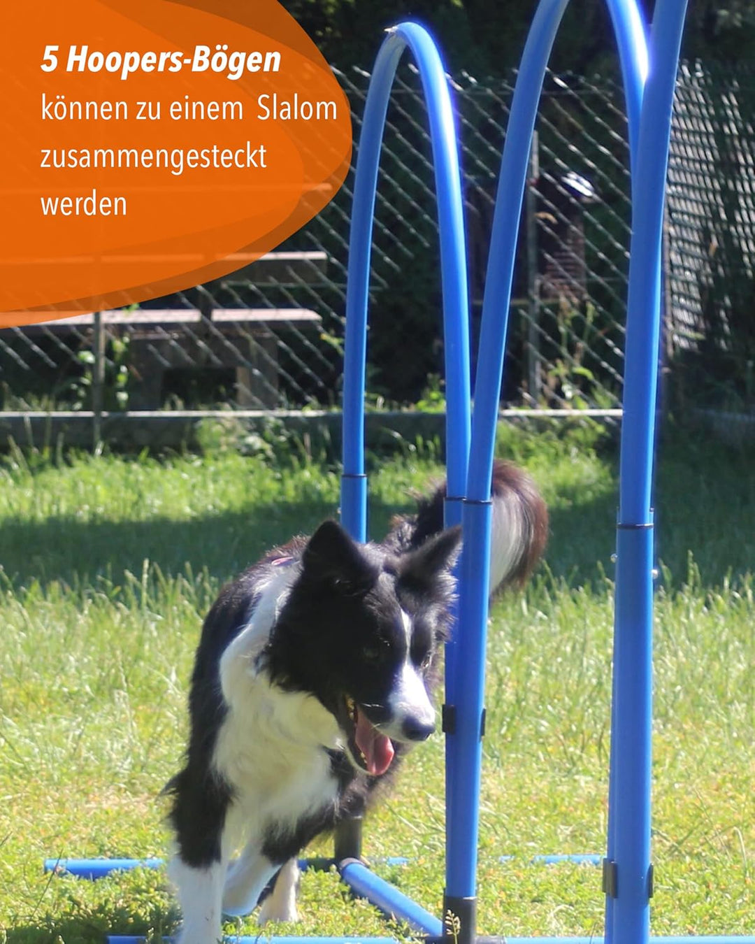 Hoopers-Bogen XL – 120cm hoch – Rot – sicher &amp; flexibel – VDH-konform – für grosse Hunde, Rot