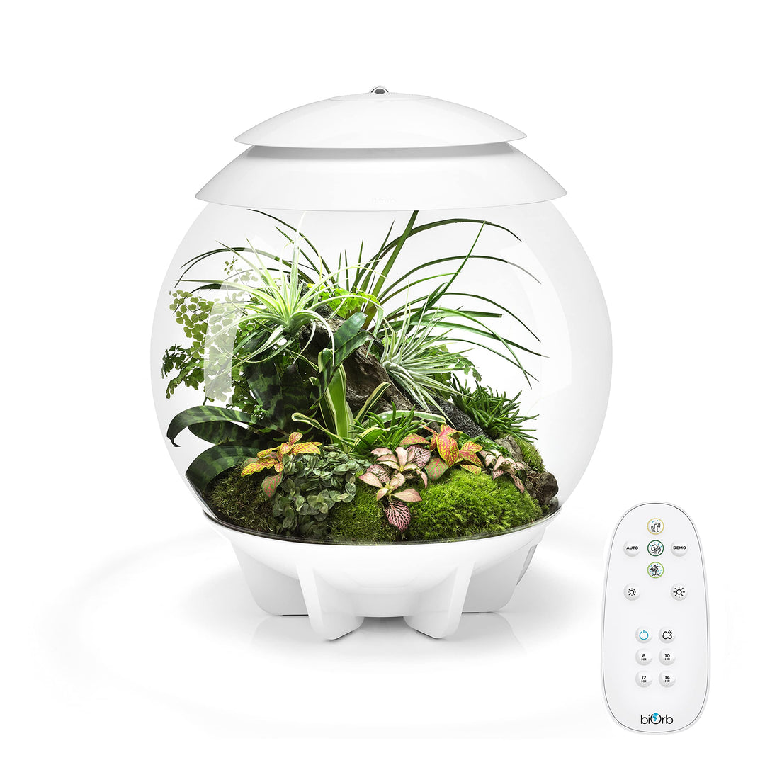 biOrb AIR 30 weiss - Terrarium mit LED-Beleuchtung / Acryl-Becken zur Pflanzenpflege / für empfindli