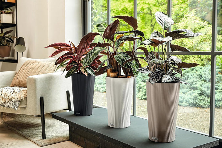 LECHUZA CILINDRO Color 32 schiefergrau 13953 32x32x56 cm Schiefergrau, 32x32x56 cm Schiefergrau