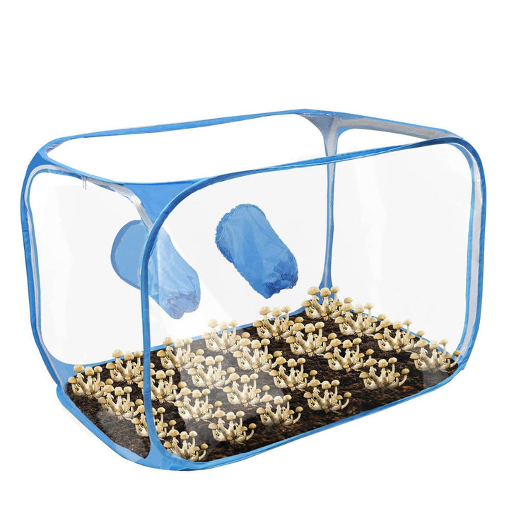 Pilz-Anzuchtbox | Aufklappbares faltbares belüftetes Anbauhaus | 76 x 43 x 44,5 cm Pilzbox | für Win
