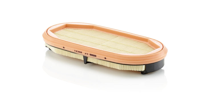 MANN-FILTER CF 2631 Luftfilter – Sekundärfilter Element – Für Nutzfahrzeuge