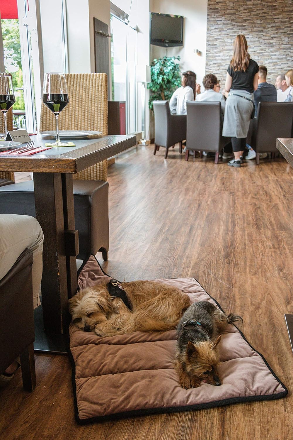 TrendPet Meine Restaurantdecke - Reisedecke für Hunde und Katzen (M 75x55cm), M 75x55cm