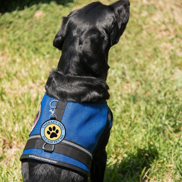 Working Service Dog Anhänger für Hundeweste, Hundegeschirr, Halsband, Leine oder Tragetasche, zum An
