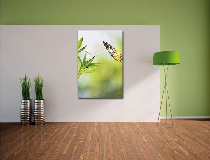 Bambus mit Schmetterling , Format: 80x120 auf hochkantiges Leinwand, XXL riesige Bilder fertig gerah