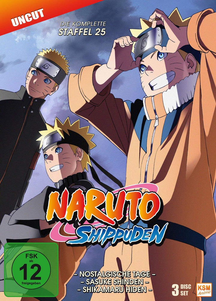 Naruto Shippuden - Staffel 25 (Folgen 700-713) [3 DVDs], DVD