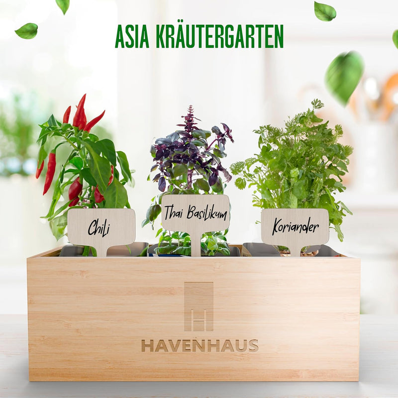 HAVENHAUS Kräutergarten asiatisch | DIY indoor Kräutergarten Küche ganzjährig | Kräuter Anzuchtset i