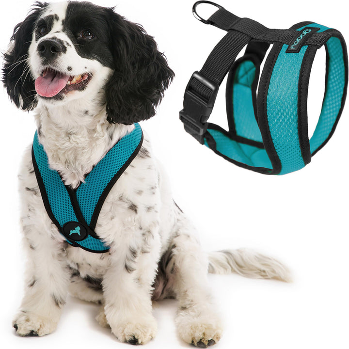 Gooby Comfort X Head in Harness,Türkis, Small, Patentierter Würgefreier X Rahmen,Unterwegs Hundegesc