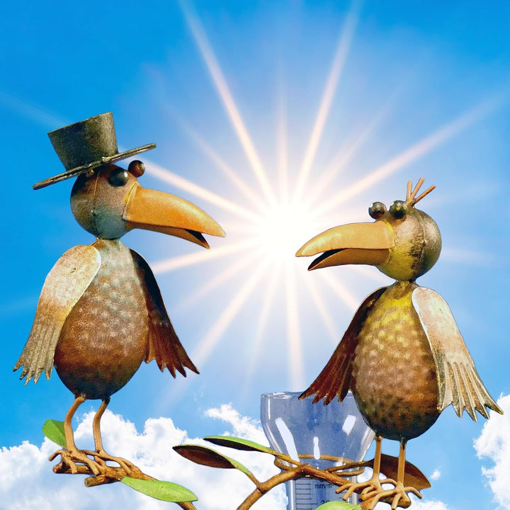 Pommerntraum ® | Regenmesser Niederschlagsmesser Pluviometer Rostoptik Prof. Dr. Rabe + Gattin - tol