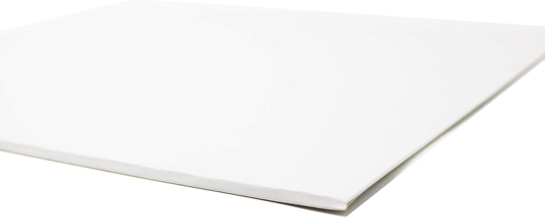 BIG FUDGE Pro Blank Schallplatten Hüllen - 12" x Weiss - 20 Vinyl LP Schutzhüllen 350 g/m² - Kompati