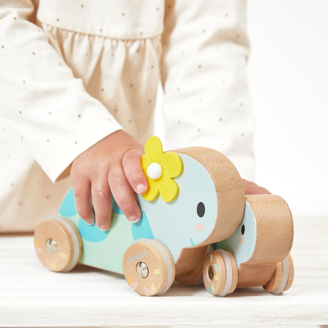 Janod J05148 Set aus 2 Holzschildkröten-Spielzeug zum Rollen-Geräuscharme Räder-Lernspielzeug-Förder