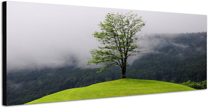 Paul Sinus Art Panoramabild auf Leinwand und Keilrahmen 150x50cm Wald See Nebel Insel Baum Spiegelun