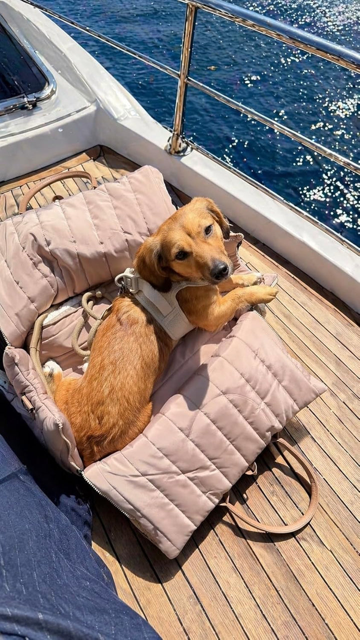 Hundetragetasche Donna 3-in-1 Tragetasche, Autosutz & Reisebett-orthopädisch Memory Foam, veganes Le