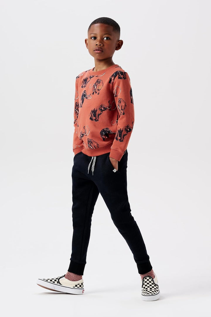 Noppies Jungen Boys Sweater Westchase Long Sleeve Allover Print Pullover, 110