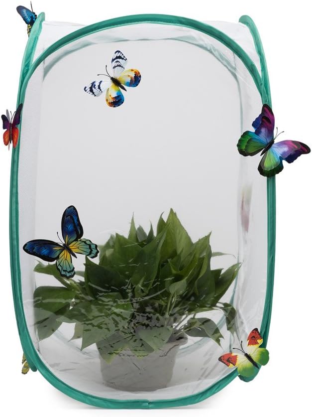 Hyindoor Insekt Und Schmetterling Habitat Käfig Terrarium Schutz Käfig Grün