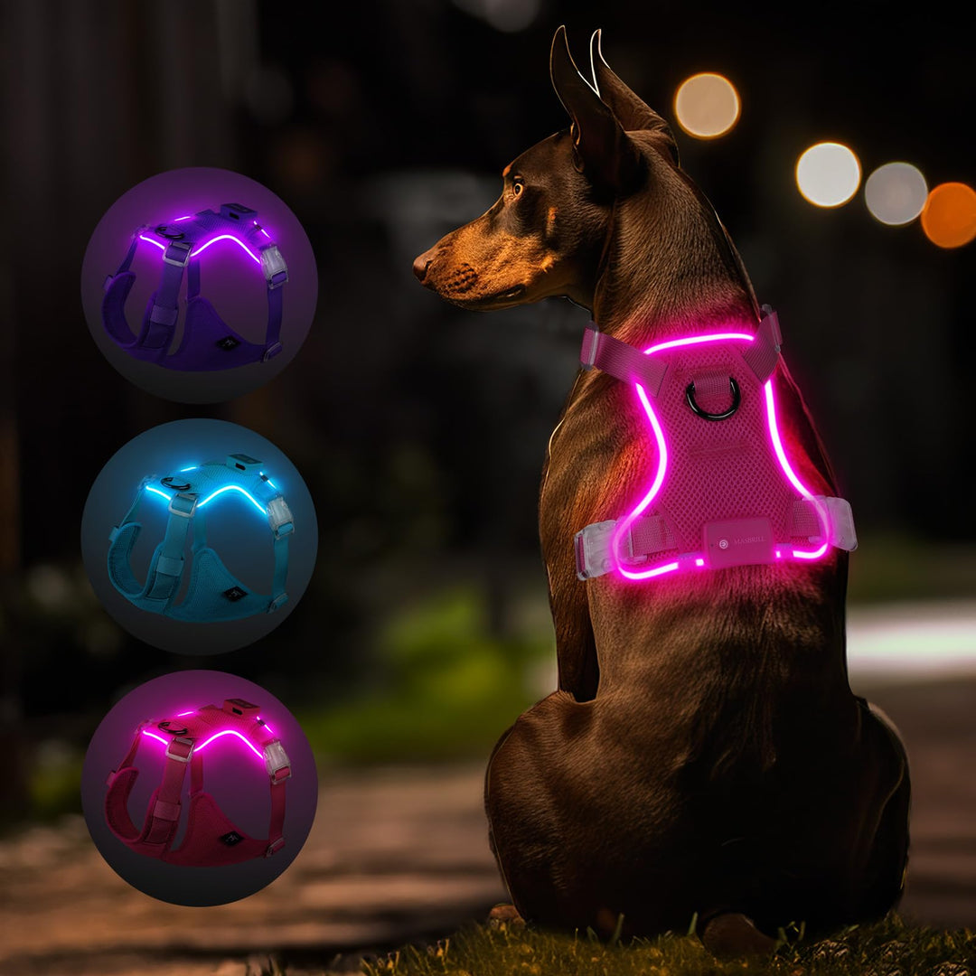 MASBRILL Hundegeschirr Leuchtend, LED Hundegeschirr Aufladbar &amp; Einstellbar für Welpen Kleiner Mittl