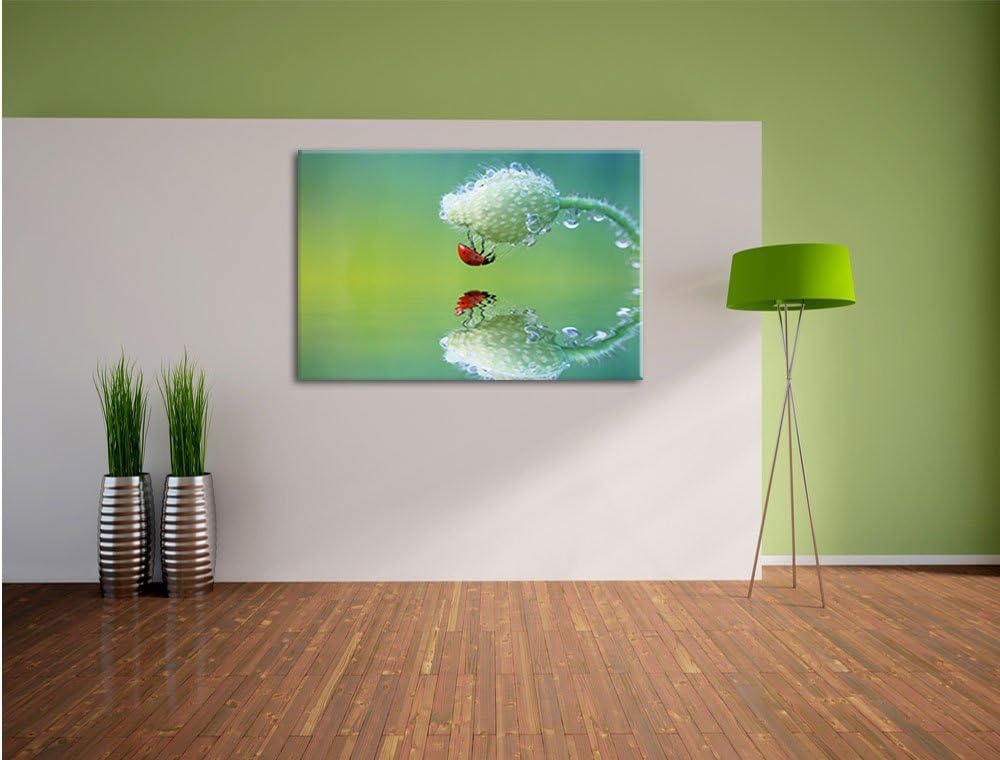 Pixxprint Marienkäfer Mohnblume als Leinwandbild/Grösse: 100x70 cm/Wandbild/Kunstdruck/fertig bespan